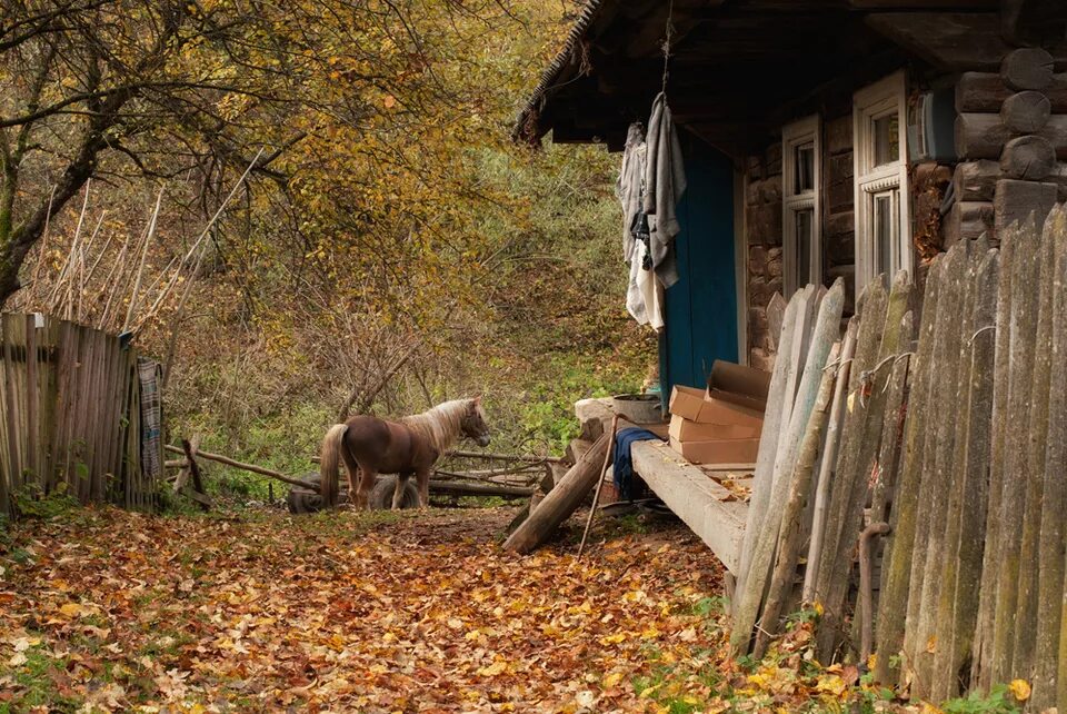Эта простота деревенской жизни. Осенняя глубинка село деревня. Осень в деревне. Осенний двор в деревне. Поздняя осень в деревне.