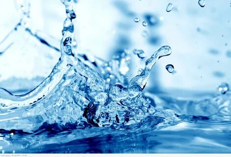 الماء - الماء أساس الحياة.
