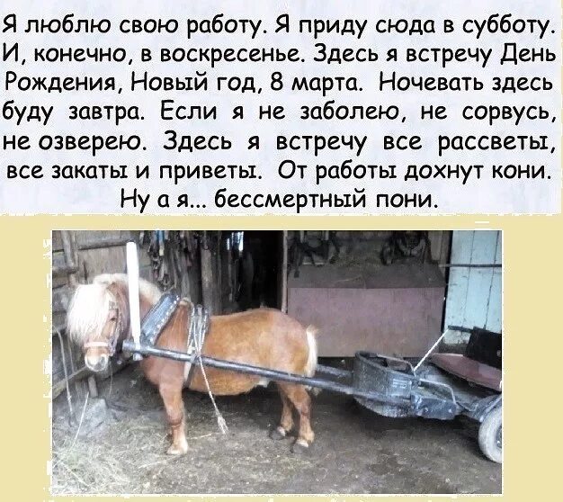 Работа я приду в субботу. Стишок про лошадь и работу. я люблю своб работу я прийду сюда в скбьоту. я люблю свою работу я приду сюда в субботу. я люблю свою работу стихотворение.