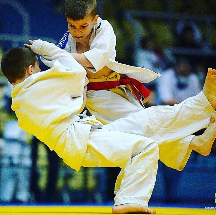 сенсей мозырь. сенсей волгодонск. сенсей балашов. сенсей мозырь. сенсей улан удэ магазин одежды.