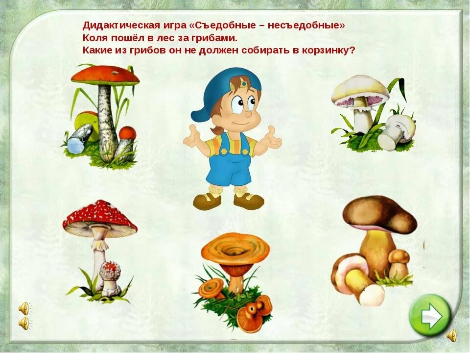 С какого возраста детям можно есть грибы. Игра съедобные и несъедобные грибы. грибы съедобные и несъедобные задания для детей. съедобные и несъедобные грибы игра для детей. грибы для дошкольников.