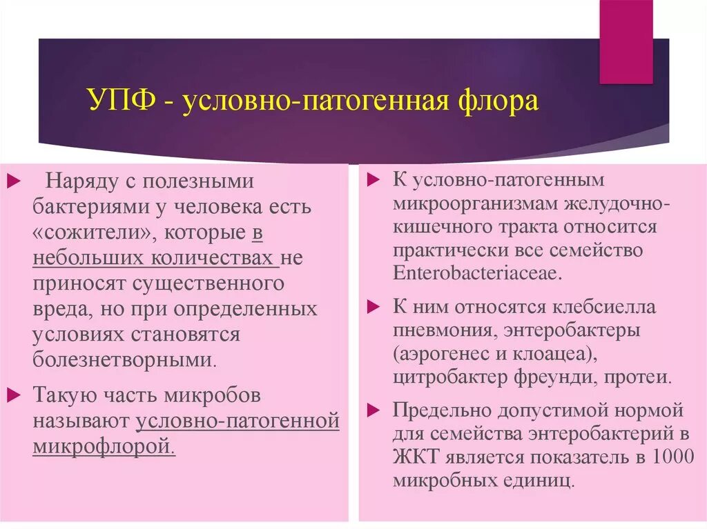 Условно патогенная микрофлора это. Условно патогенная микрофлора. Условно-патогенные микрофлопв.