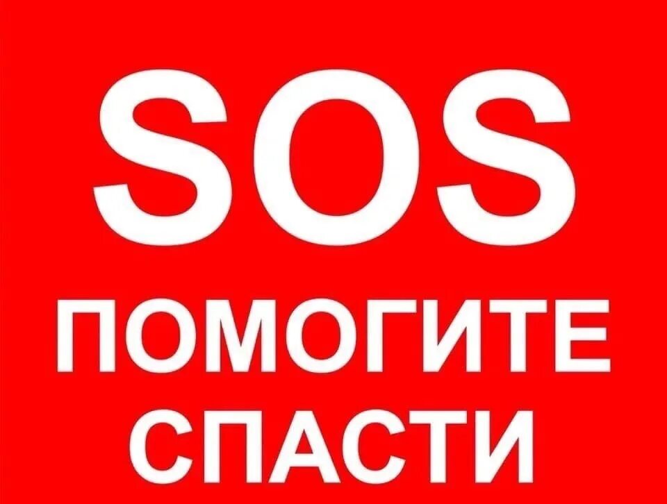 Что такое сос. Помогите спасти. Помогите спасти жизнь. Срочно сос. SOS помощь.