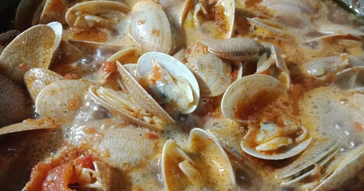 Большие фаршированные макароны. Ракушки с томатным соусом. Каннеллони ракушки. Ракушки в томатном соусе. Ракушки в томатном соусе.
