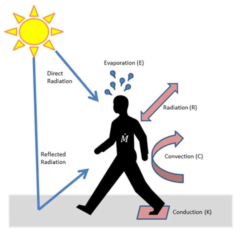 Конвекция человека. Излучение кондукция. Конвекция кондукция излучение. Конвекция кондукция испарение. Конвекция излучение испарение.