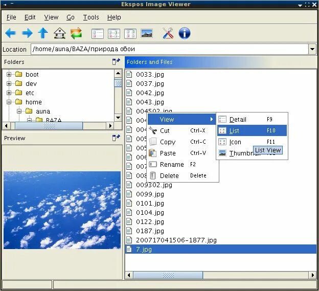 Nef файл с дефектами. Teamviewer картинка. Faststone image viewer. View viewer. View viewer.