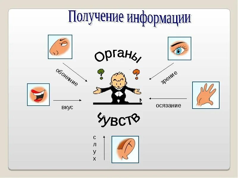 Способы получения информации. Способы получения информации человеком. Человек получаетминформацию. Способы принятия информации. Способы получения информации 8 класс