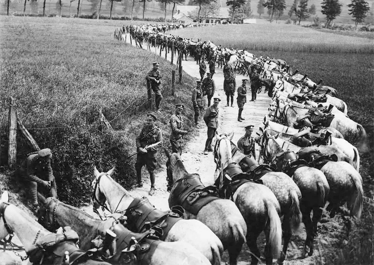 Лошади во время войны. Лошади в мировой войне 1914-1918. Русская кавалерия в первой мировой войне 1914-1918.