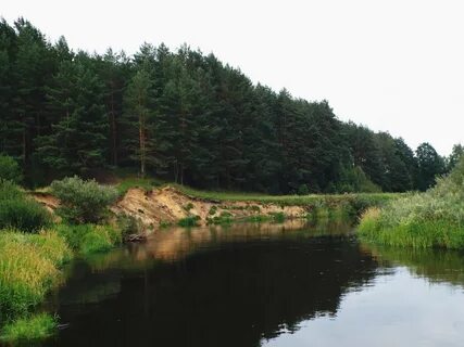 Тьма тверская область