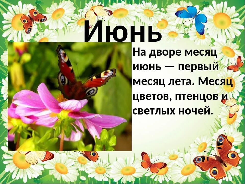 Про лето в этом году. Летние месяцы для детей. Стихи про летние месяцы. Июнь июль август. Месяц июнь.