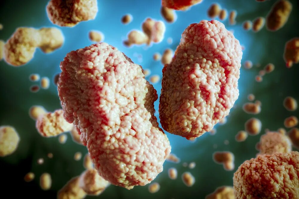 The virus can be. Возбудитель оспы обезьян.