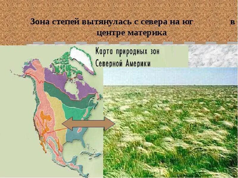 Природная зональность северной америки. Природные зоны Северной Америки. Карта природных зон Северной Америки. Презентация на тему природные зоны Северной Америки. Природные зоны Северной Америки с севера на Юг.