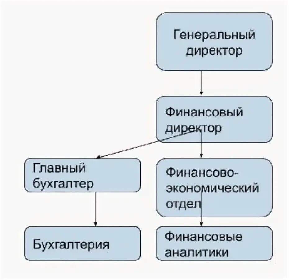 Может ли может ли финансовый директор