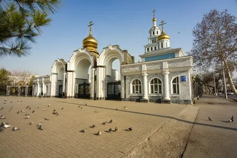 Ростов ташкент