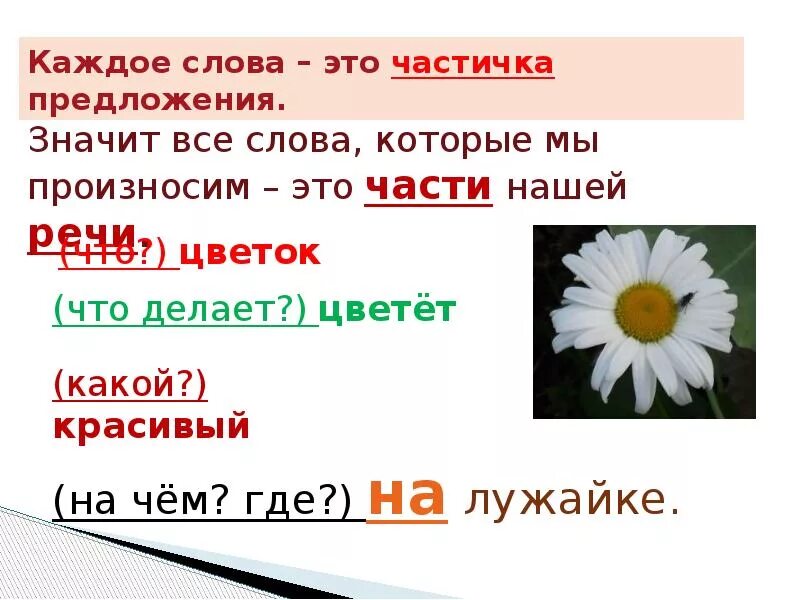 Слово цвести время. Цветок части речи. Цветочки части речи. Цветок части речи в русском. Цветущий часть речи.