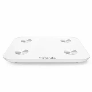 Fat scale