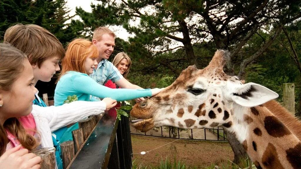 Посетить зоопарк. Wellington zoo веллингтон. семья в зоопарке. дети в зоопарке. посетители зоопарка.