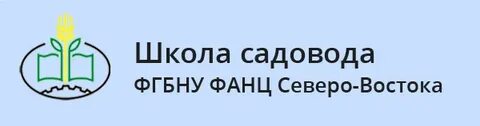 Фанц северо востока