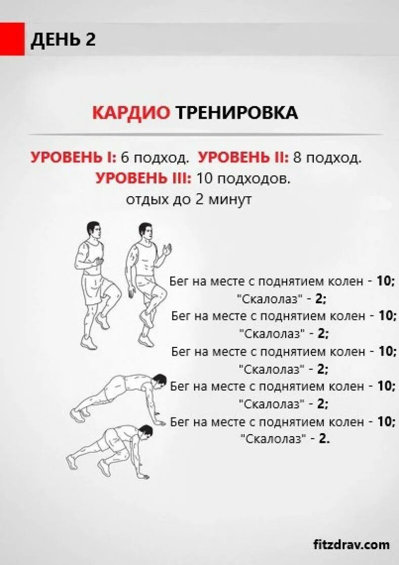 Упражнение уровень 3. Кардио тренировка план. Комплекс упражнений кардио тренировка. Кардио тренировка для сжигания жира. Комплекс упражнений для кардиотренировки.