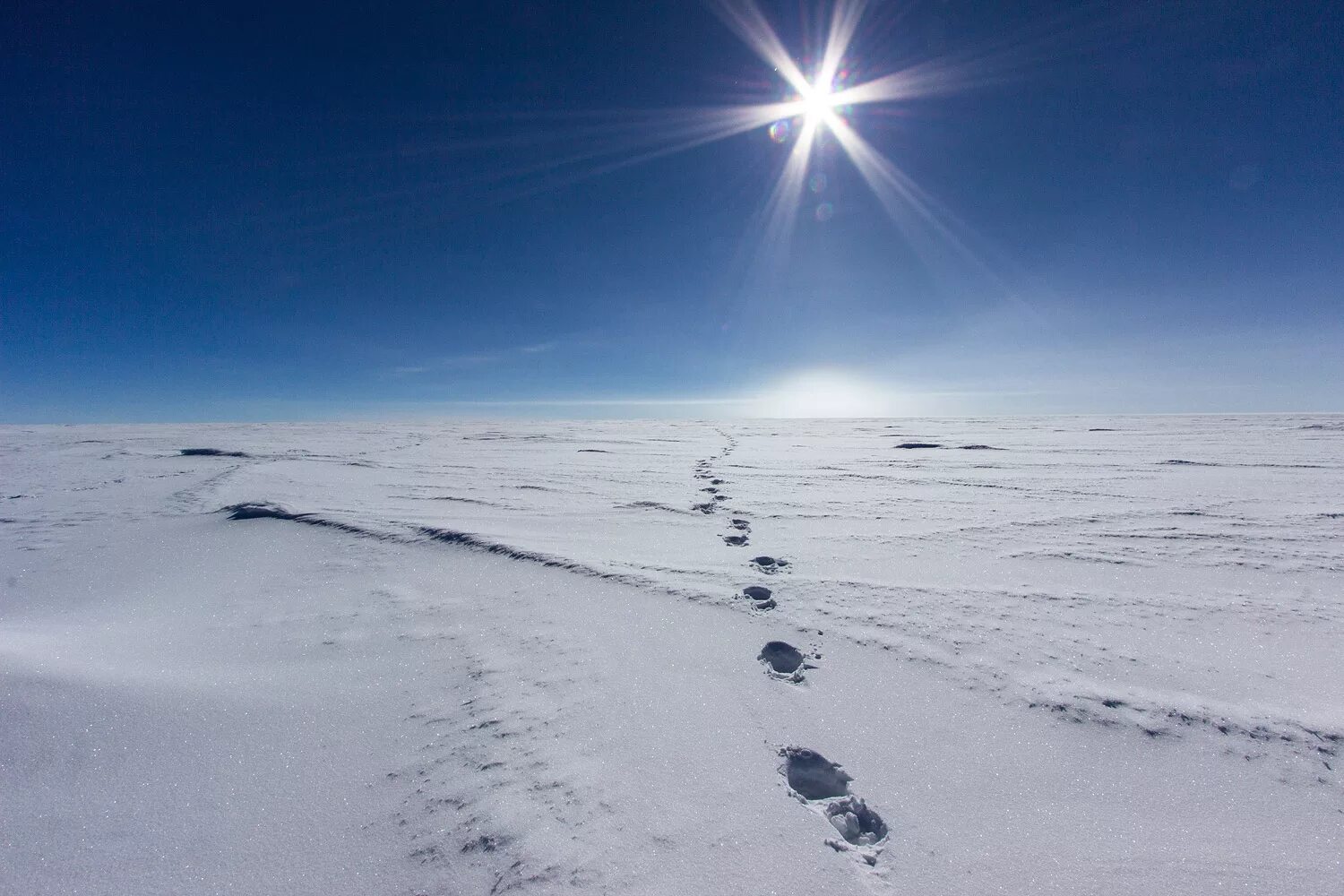 Антарктические почвы. Антарктида Южный полюс плоская земля. Северный полюс. Северный полюс метель. Край земли Антарктида.