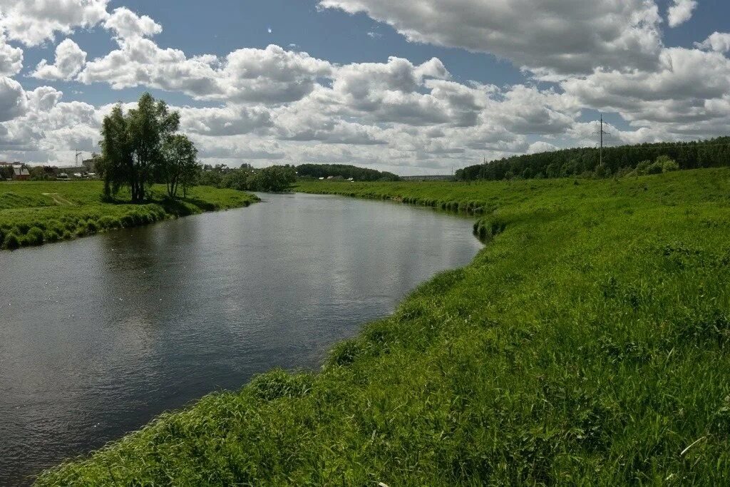 Поселок между. Река Истра Веледниково. Веледниково озеро. Река в лесу дачный поселок. Деревня Веледниково Владимирская обл.