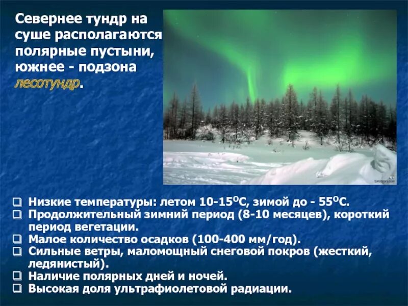 Температура в тундре. Лесотундра температура. Кол во осадков в лесотундре. Температура зоны тундры.