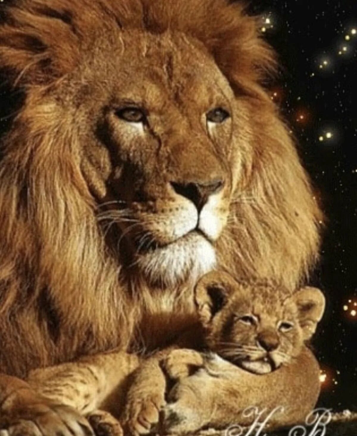 Два сына лев и. Лев львица и два львенка. Поцелуй льва. Лев львица и львенок. Два сына лев и.