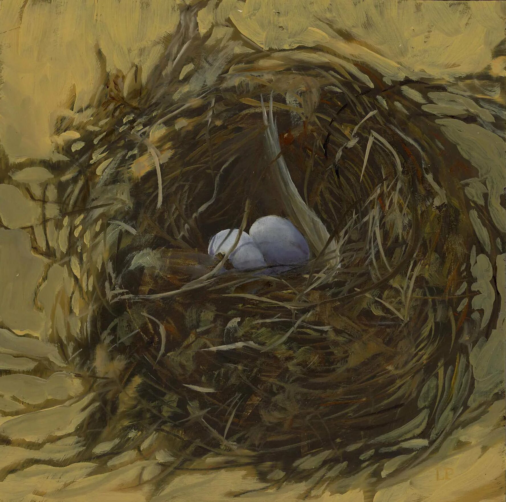 The bird nest