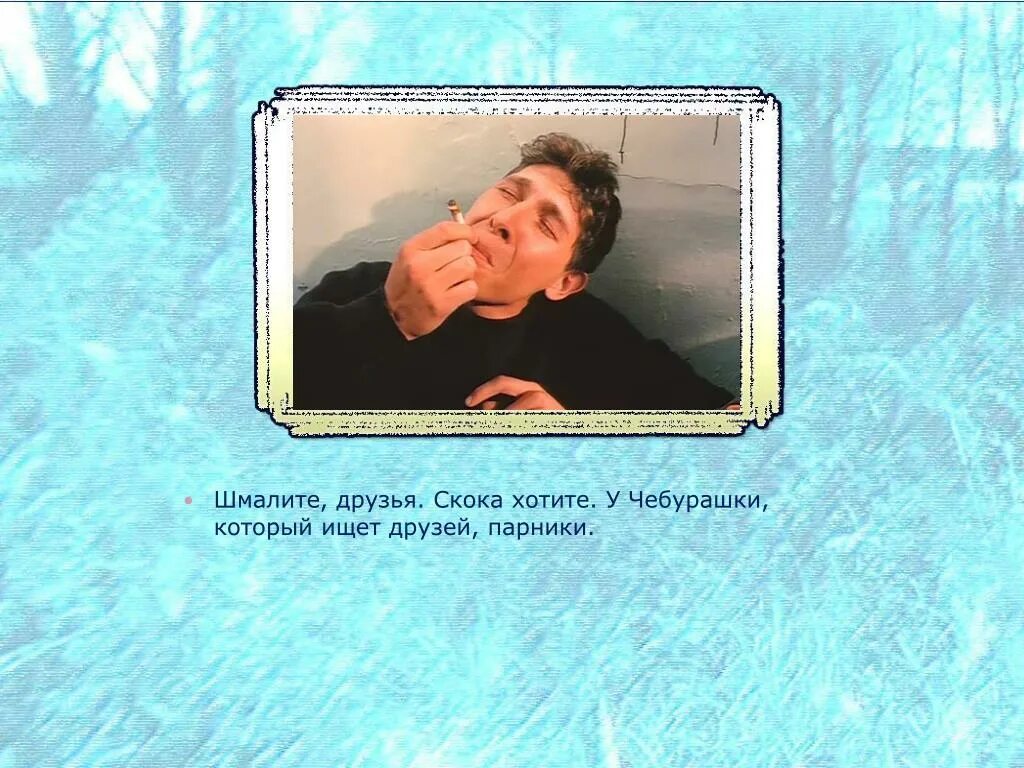 Кот нашел друга