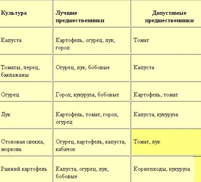 Что можно посадить после картофеля на следующий. После чего сажать морковь на следующий год таблица. После моркови можно сажать лук. После чего сажать морковь на следующий год. После каких культур можно сажать морковь и лук.