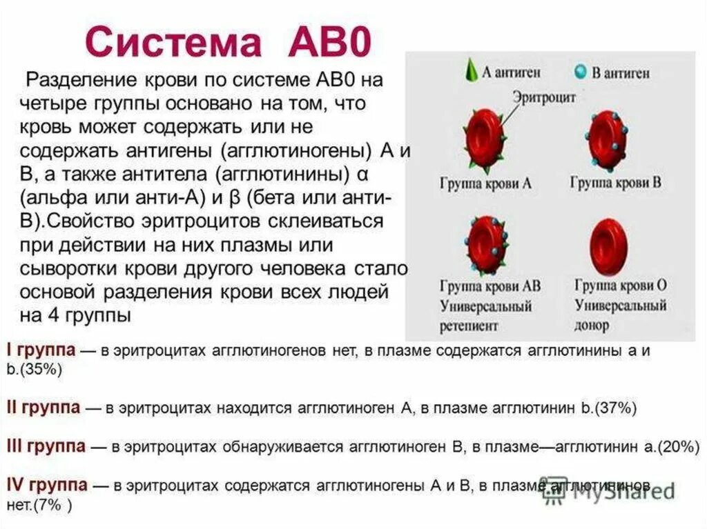 Группа крови принцип разделения. Антигены эритроцитов человека (система ав0).. Группы крови человека системы АВО. Антиген и агглютиноген в группах крови. Вязовский группа крови 5 читать