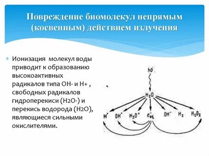 Механизм действия излучения