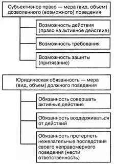 Субъективные обязанности понятие и виды