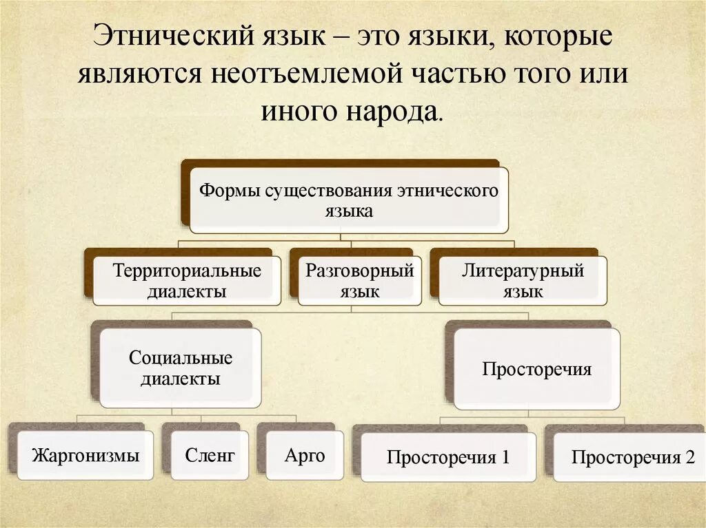 Составляющие национального языка. Этнические языки. Этническая форма языка. Территориальные формы языка. Формы этноса.