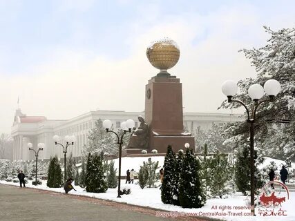 Ташкент январь 2024