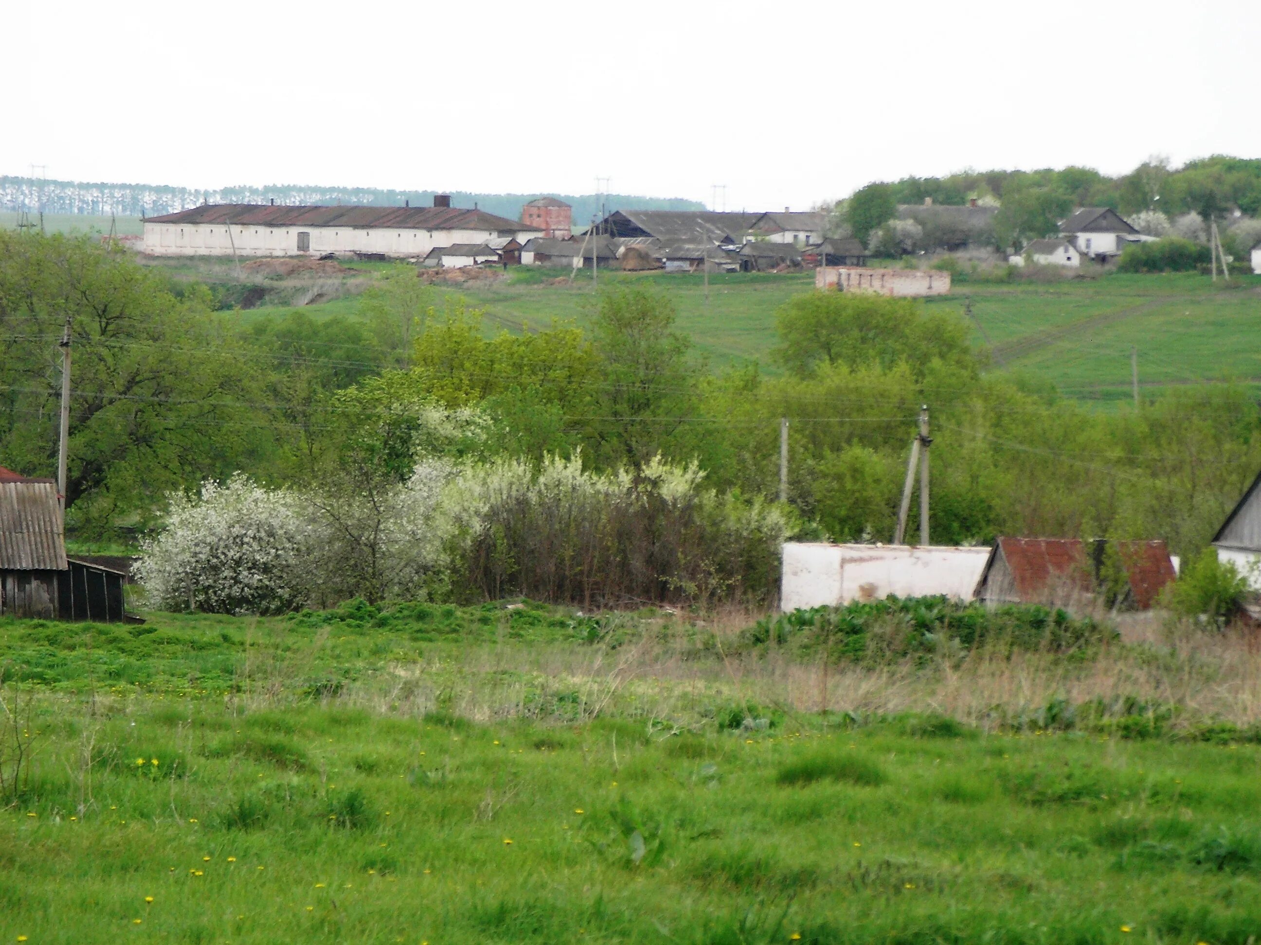 Село старое ахматово нижегородская область. Погода старое ахматово нижегородская область. Село старое ахматово нижегородская область. Погода старое ахматово нижегородская область. Церковь с ахматово чувашия.