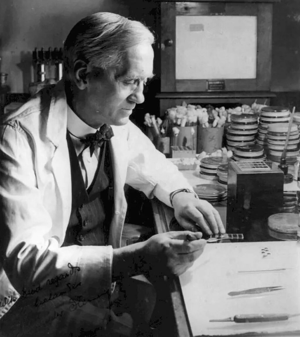 Alexander fleming discovered penicillin. Флеминг пенициллин.