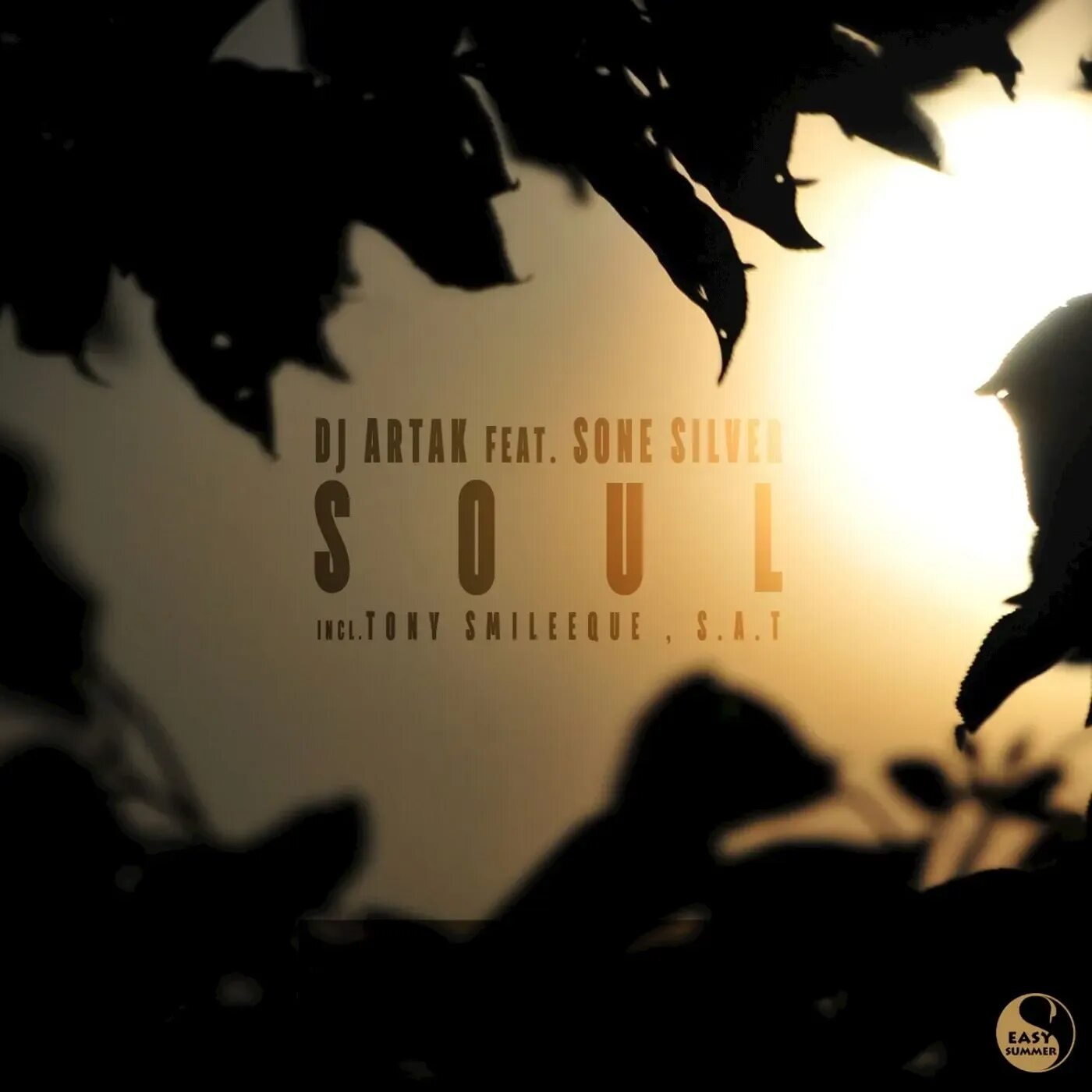 Dj artak sone silver. Dj artak feat sone silver souls. Dj artak soul s. Dj artak soul s. T remix.