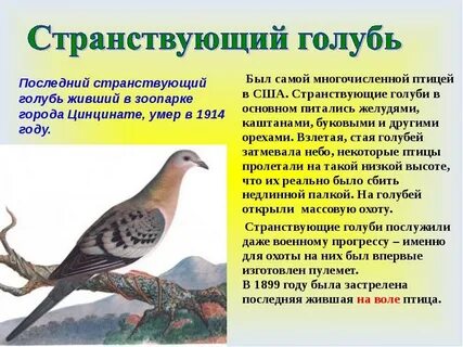 Исчезнувшие животные и птицы