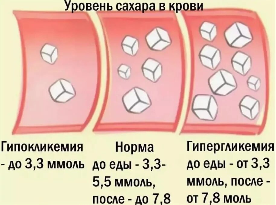 Норма сахара в крови после 65. Норма Глюкозы в крови после еды. Уровень сахара в крови. Норма сахара в крови. Уровень сахара в крови норма.