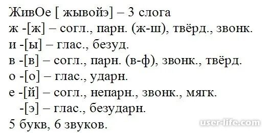 Разобрать слово света. Фонетический разбор слова живут 3 класс. Разбери звуко буквенный разбор слова живут. Звука буквы разбор слова живут. Разбор слова жить.