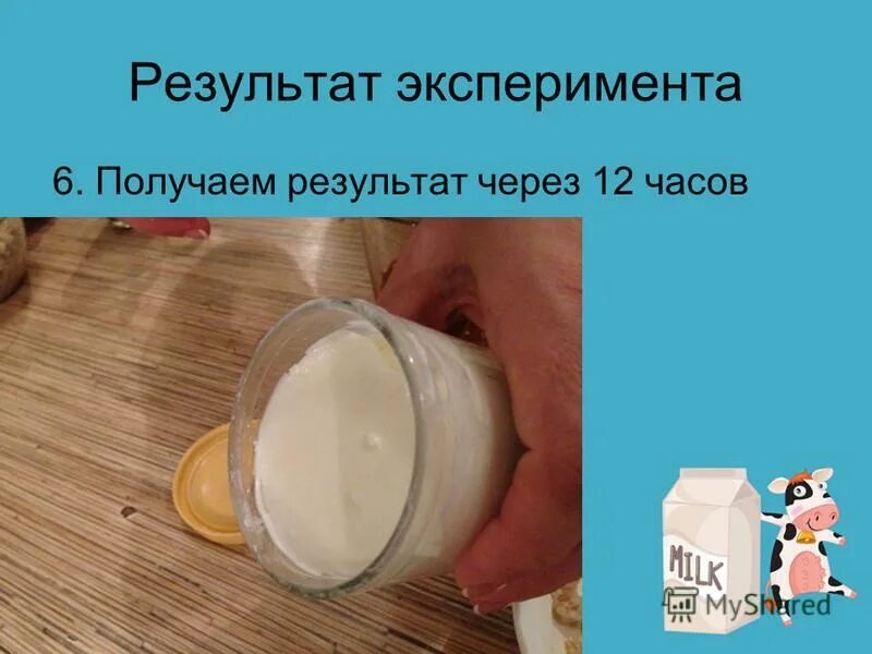 Прокисание молока. Скисает молоко это химическое или физическое явление. Процесс скисания молока. Скисает молоко это химическое или физическое явление. Скисшее молоко.
