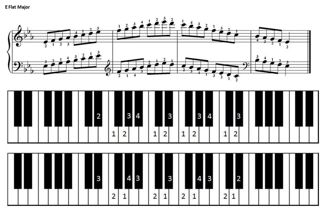 B flat major. Гамма фа диез минор на пианино. Гамма Ре диез минор. До диез минор на клавиатуре пианино. Гамма до диез минор клавиши.