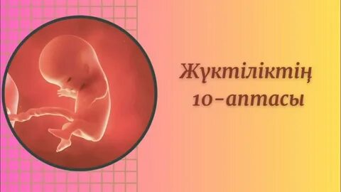 Хардкор сиськи ебля порно видео