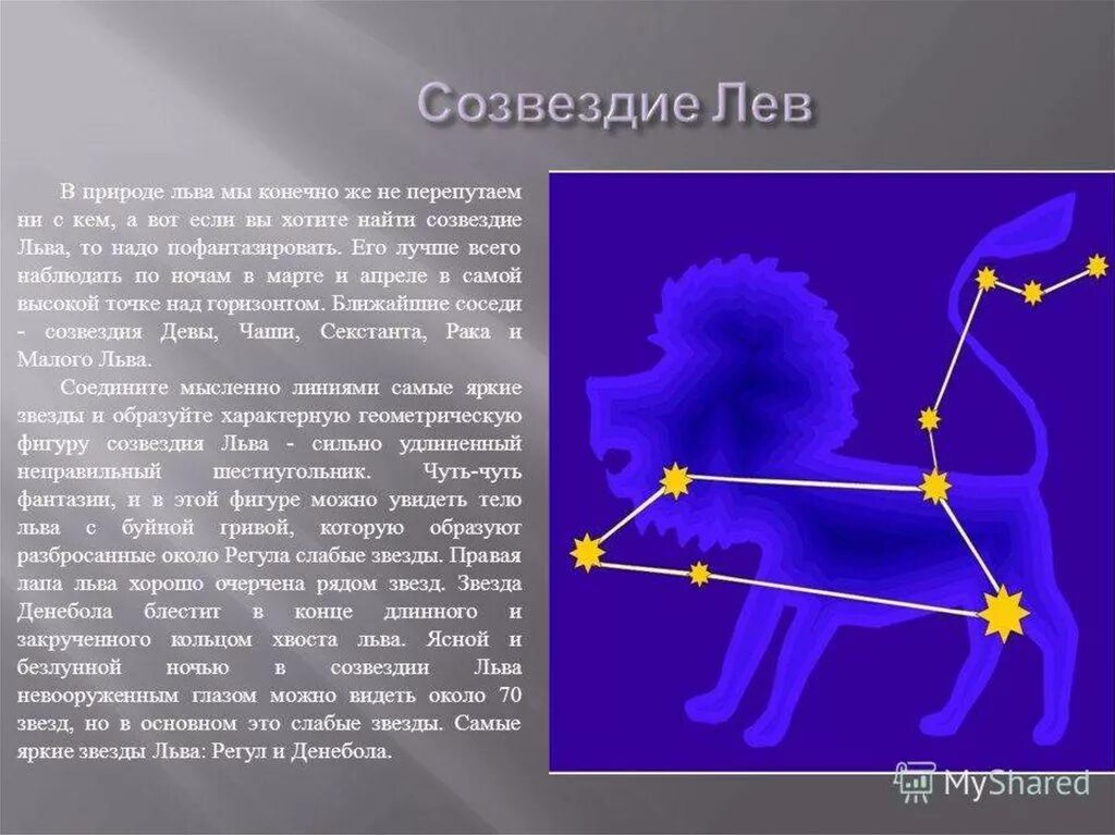 Созвездие льва весеннего неба. Созвездие Льва 2 класс. Лев Созвездие схема самая яркая звезда. Рассказ о созвездии Льва. Главная звезда в созвездии Льва.