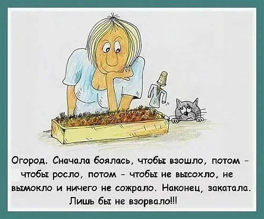 В лето ничего не было. Огород юмор. Анекдоты про огород. Цитаты про огород смешные. Шутки про огород.