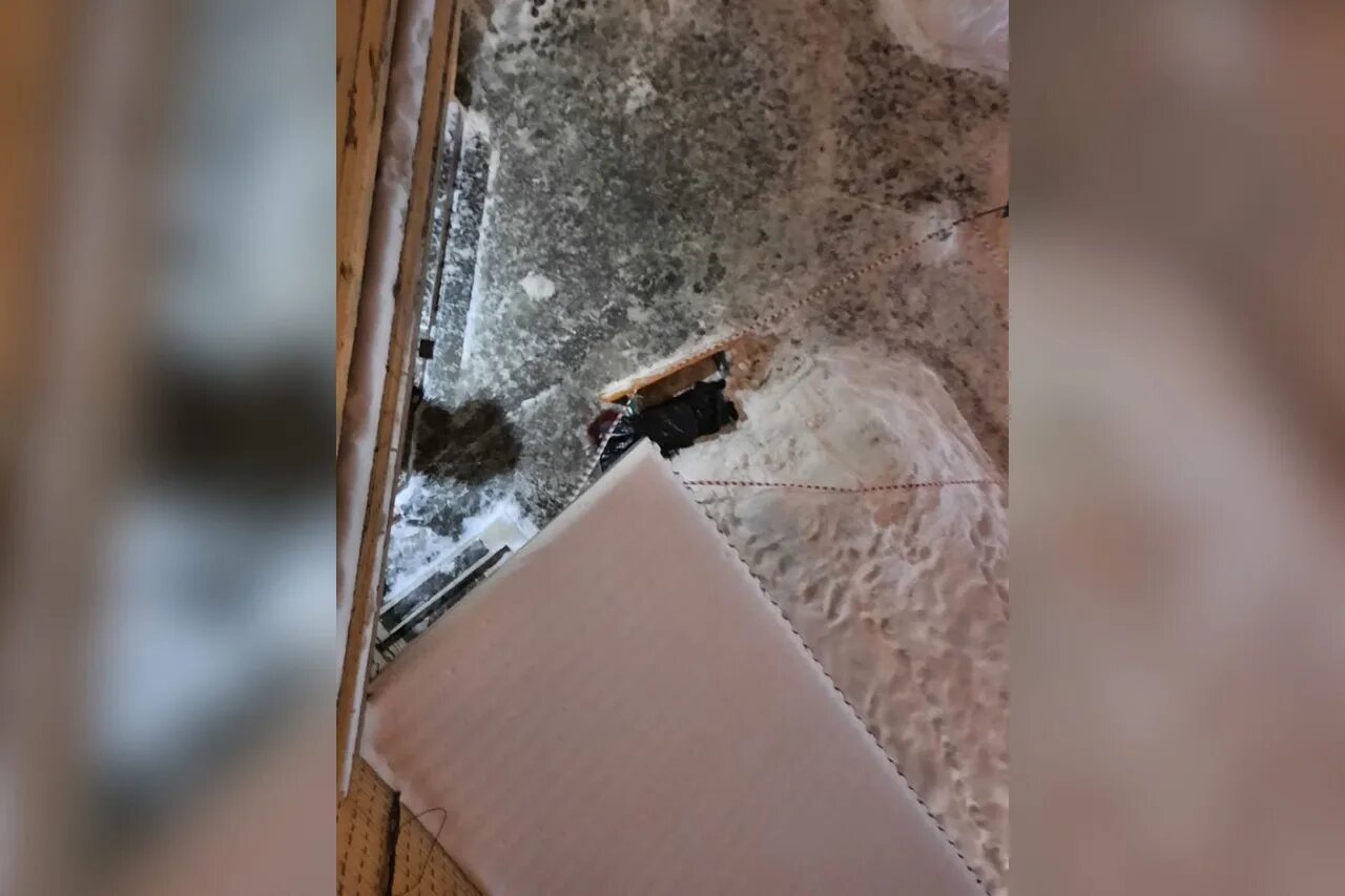 Однажды в московском зоопарке разбилось стекло. Упала рамка с фотографией и разбилась. Разбитое упала. Жук упал между стеклами.