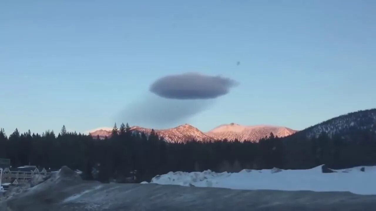Видео сегодня реальное