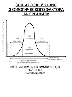 Ограничивающий экологический фактор