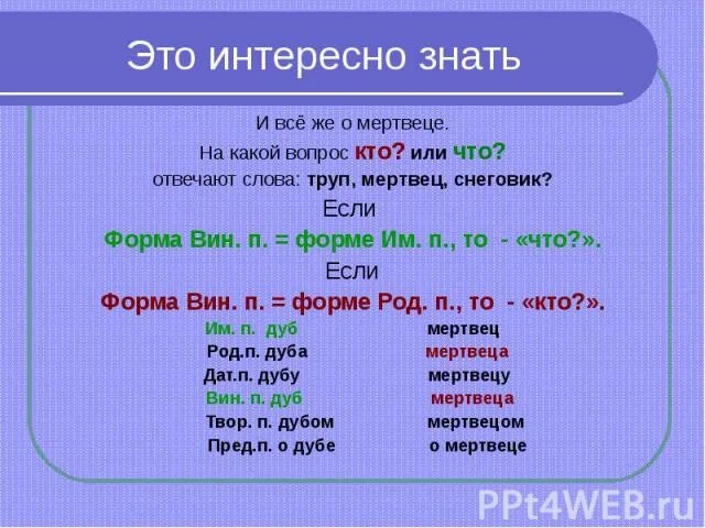 Отвечает на вопрос кто или что. На вопрос кто отвечают. На какой вопрос отвечает кто или что. На какой вопрос отвечает кого. На какой вопрос отвечает слово большая